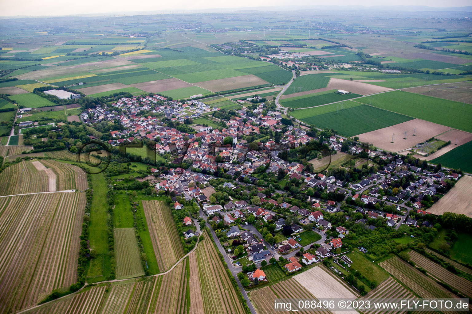 Luftbild von Dexheim im Bundesland Rheinland-Pfalz, Deutschland