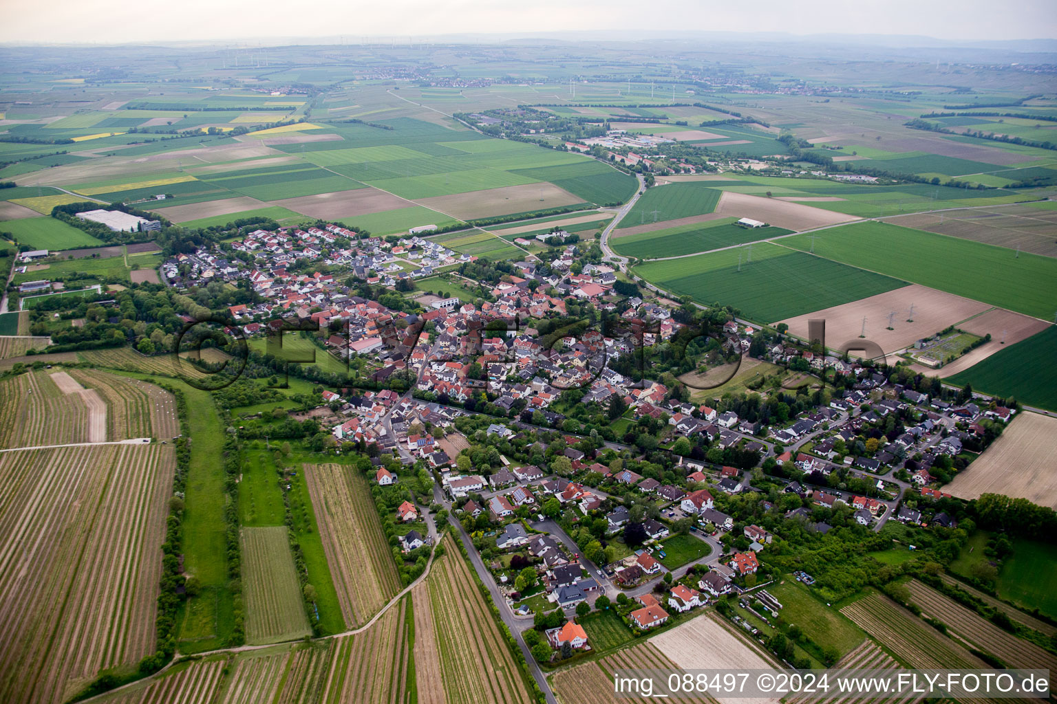 Dorf - Ansicht in Dexheim im Bundesland Rheinland-Pfalz, Deutschland