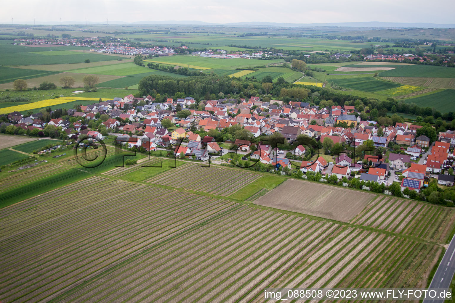 Luftbild von Friesenheim/Rheinhessen im Bundesland Rheinland-Pfalz, Deutschland