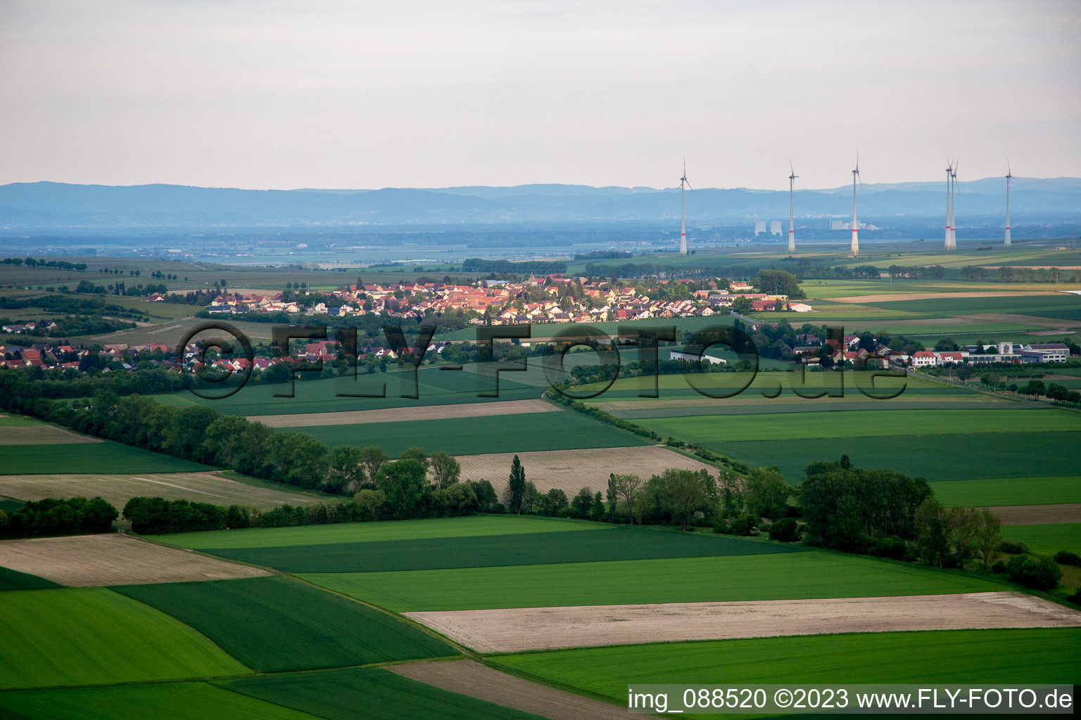 Luftbild von Gau-Odernheim im Bundesland Rheinland-Pfalz, Deutschland