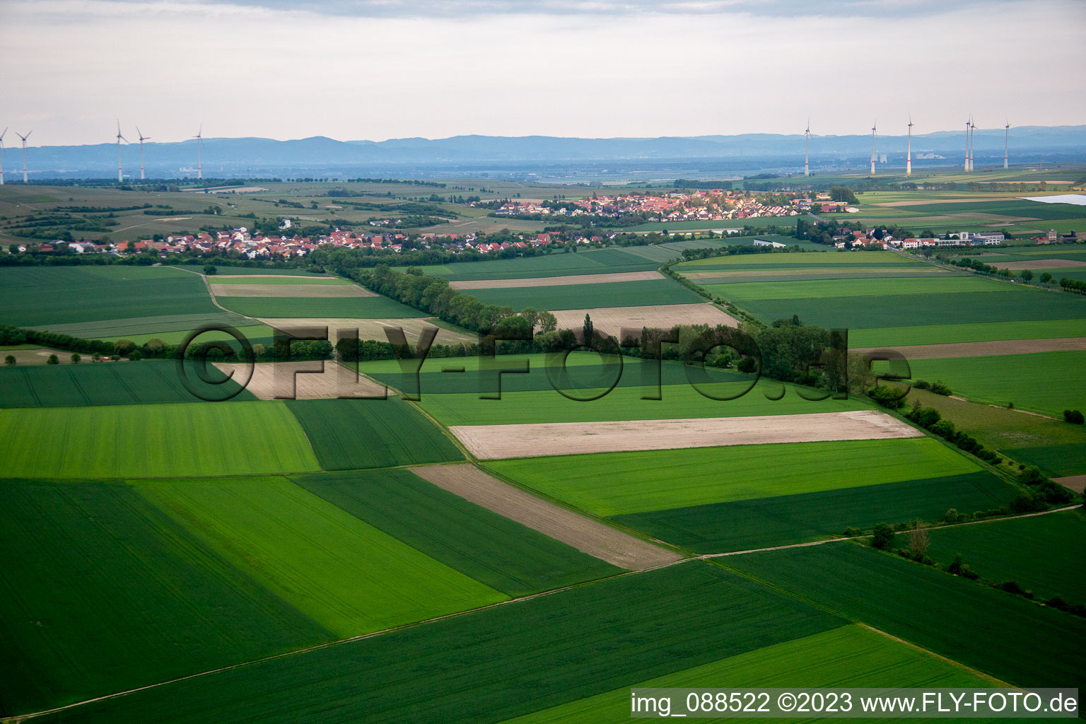 Schrägluftbild von Gau-Odernheim im Bundesland Rheinland-Pfalz, Deutschland
