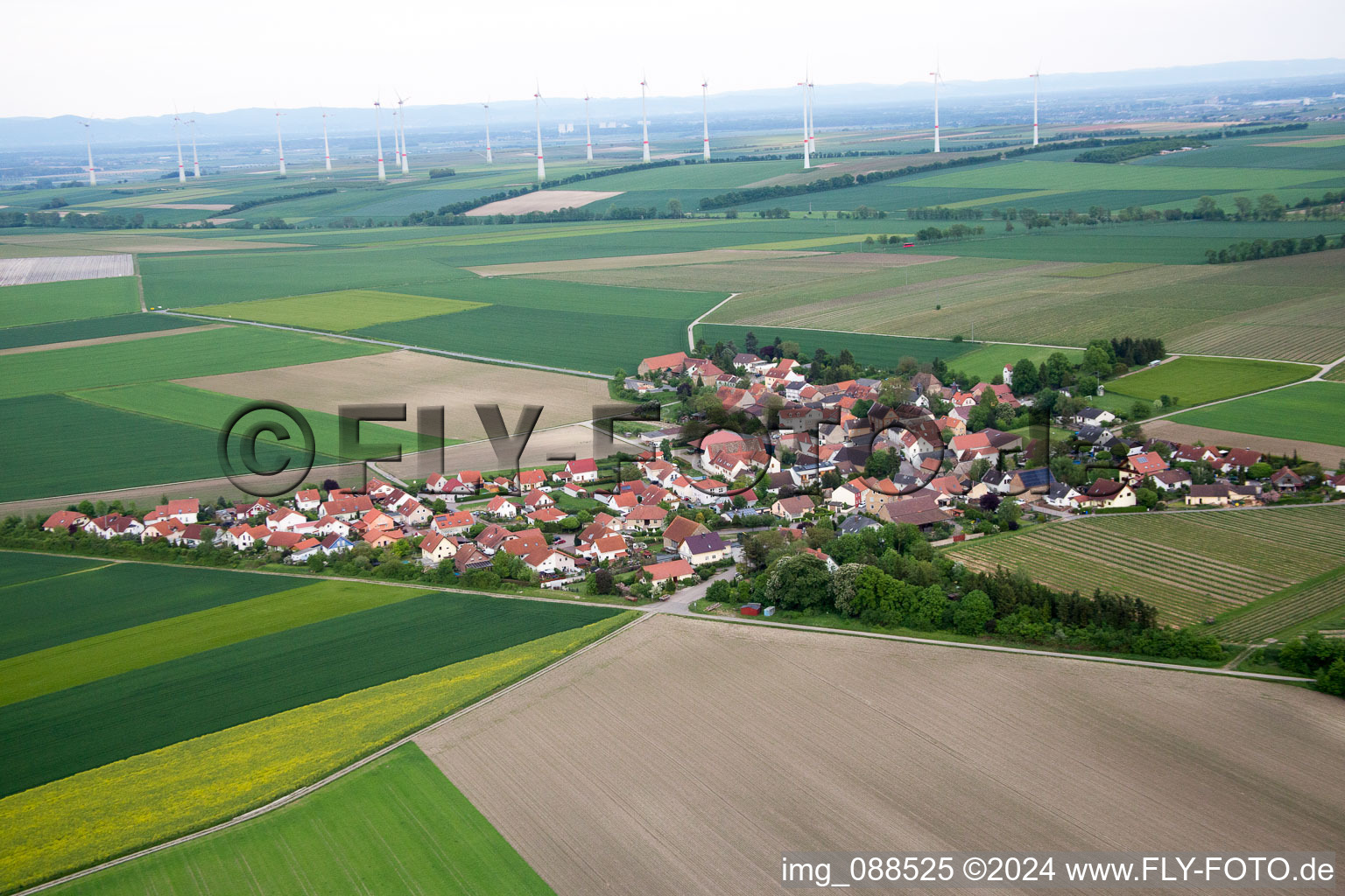 Dorf - Ansicht am Rande von landwirtschaftlichen Feldern und Nutzflächen in Frettenheim im Bundesland Rheinland-Pfalz, Deutschland