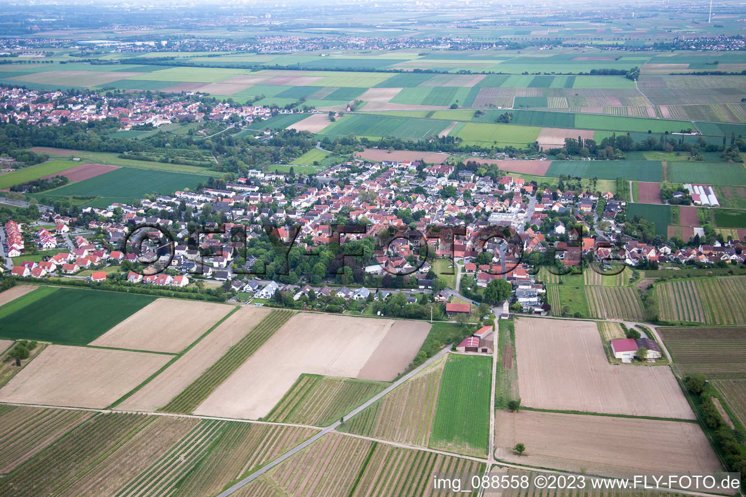Luftbild von Ortsteil Leiselheim in Worms im Bundesland Rheinland-Pfalz, Deutschland
