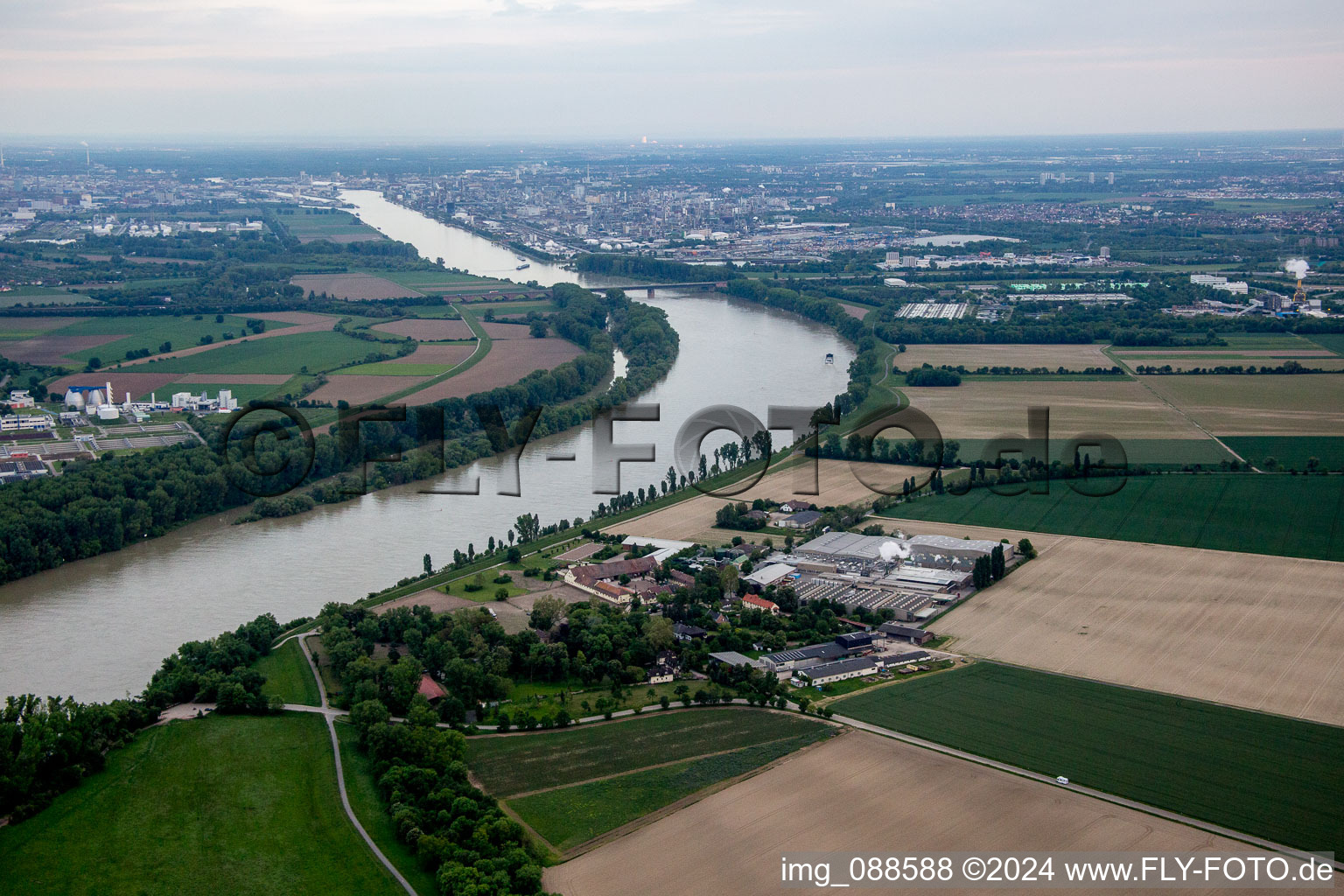 Petersau im Bundesland Rheinland-Pfalz, Deutschland vom Flugzeug aus