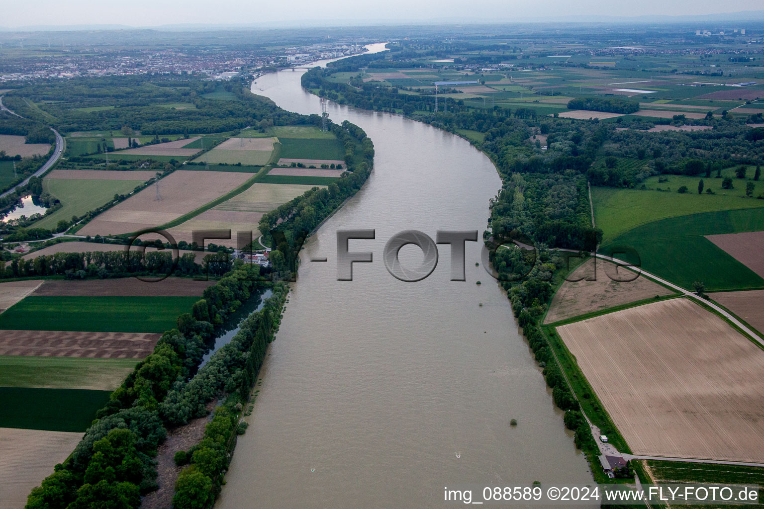 Petersau im Bundesland Rheinland-Pfalz, Deutschland aus der Vogelperspektive