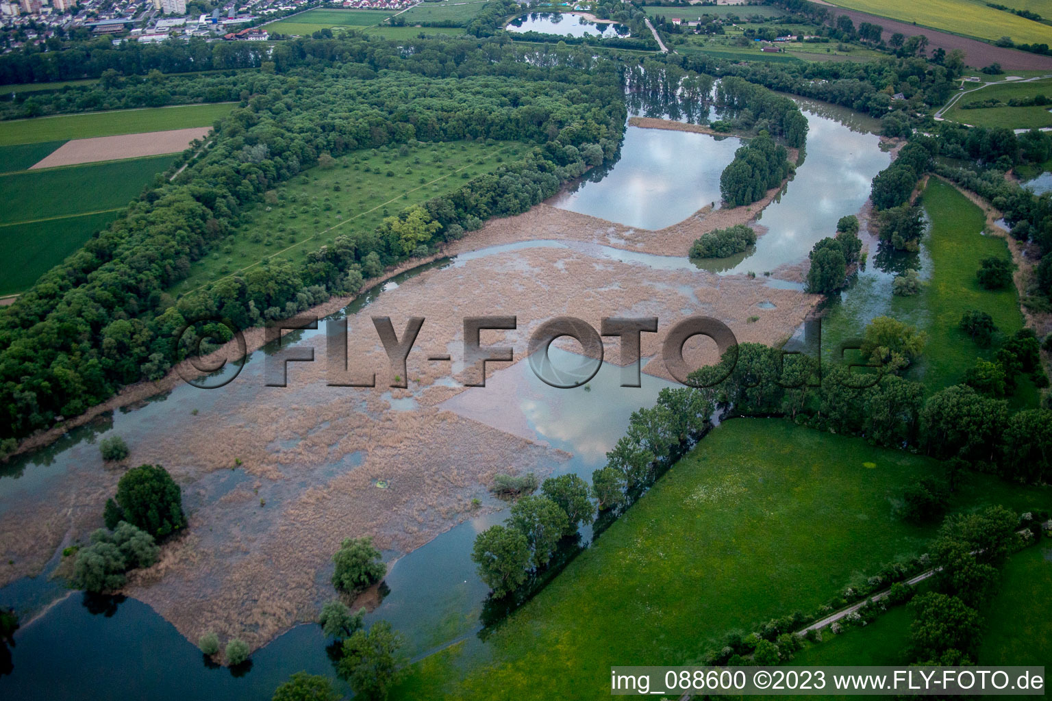 Luftbild von Lampertheim, Lampertheimer Altrhein im Bundesland Hessen, Deutschland