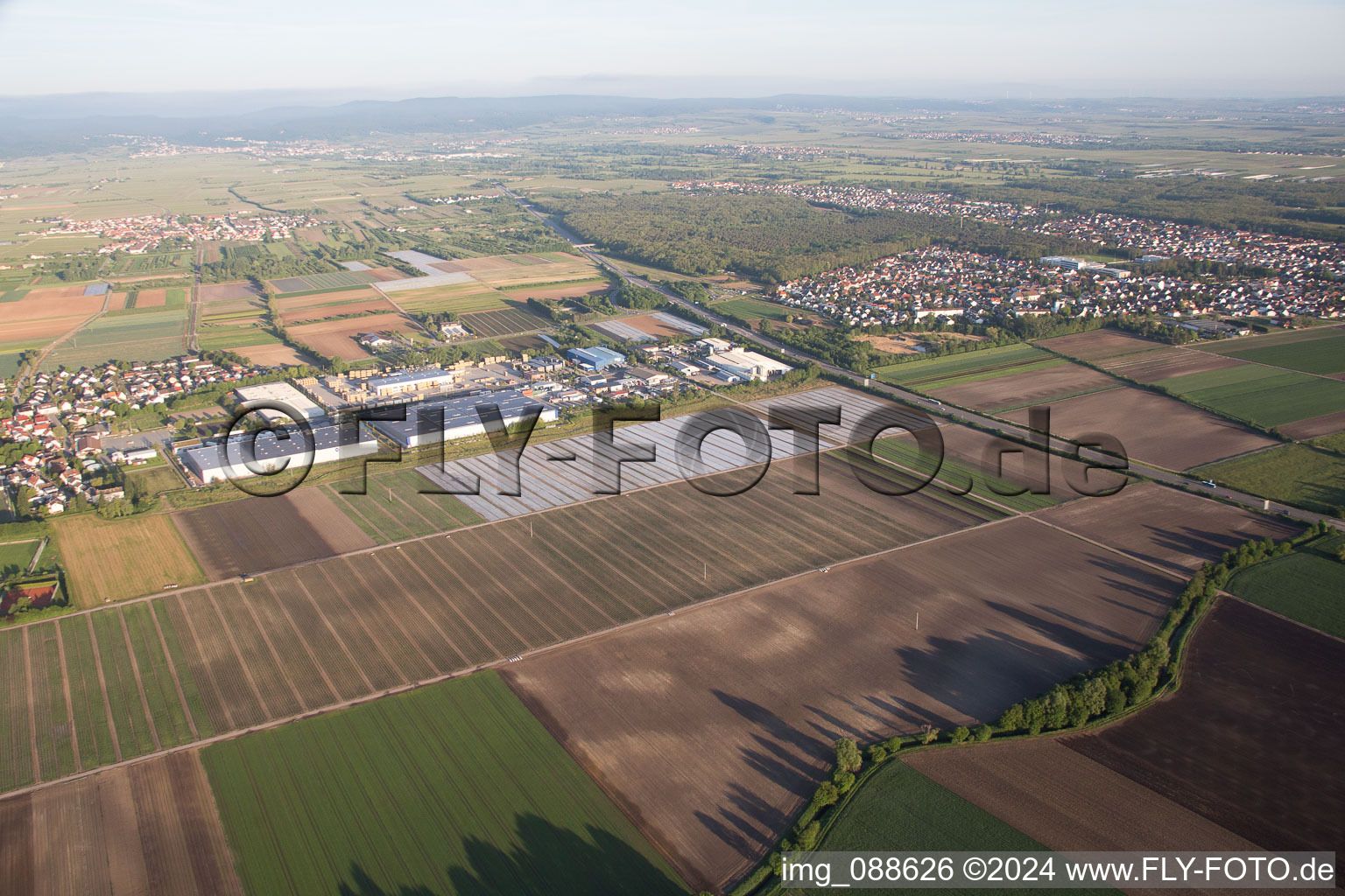 Fußgönheim im Bundesland Rheinland-Pfalz, Deutschland von oben