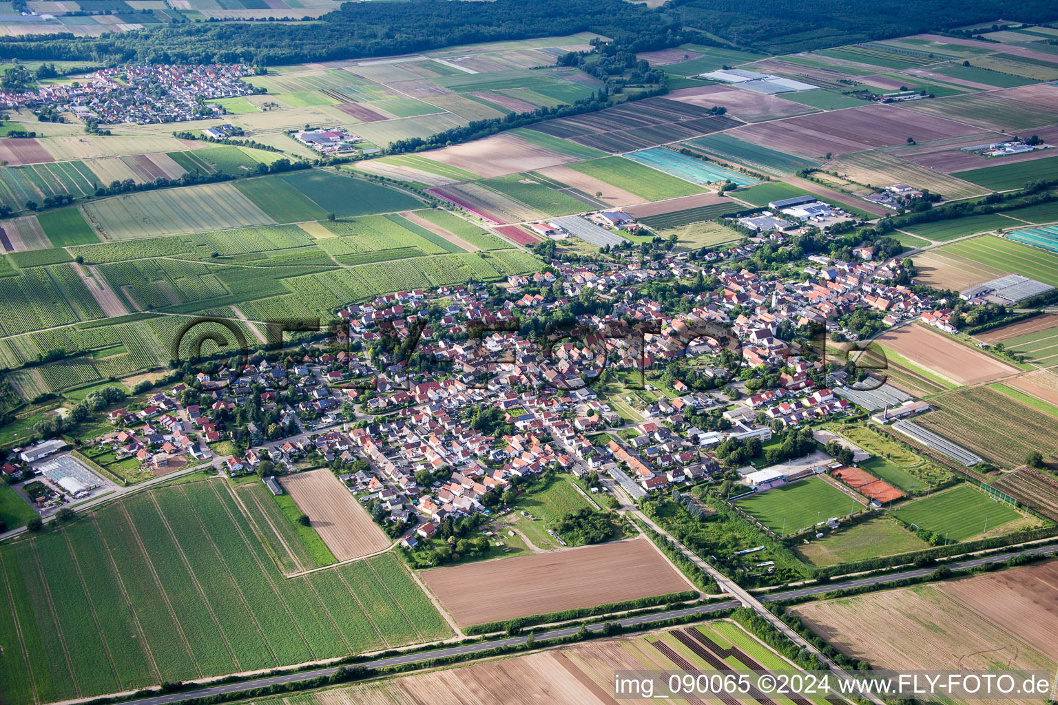 Dorf - Ansicht am Rande von landwirtschaftlichen Feldern und Nutzflächen in Weingarten (Pfalz) im Bundesland Rheinland-Pfalz, Deutschland