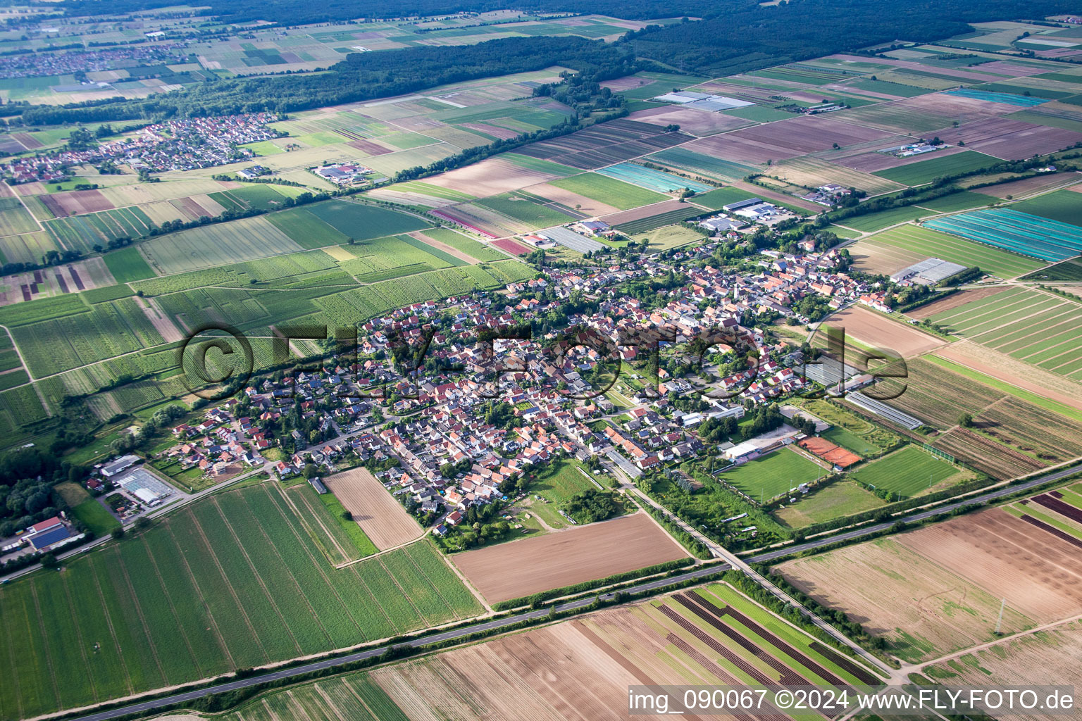Luftbild von Dorf - Ansicht am Rande von landwirtschaftlichen Feldern und Nutzflächen in Weingarten (Pfalz) im Bundesland Rheinland-Pfalz, Deutschland