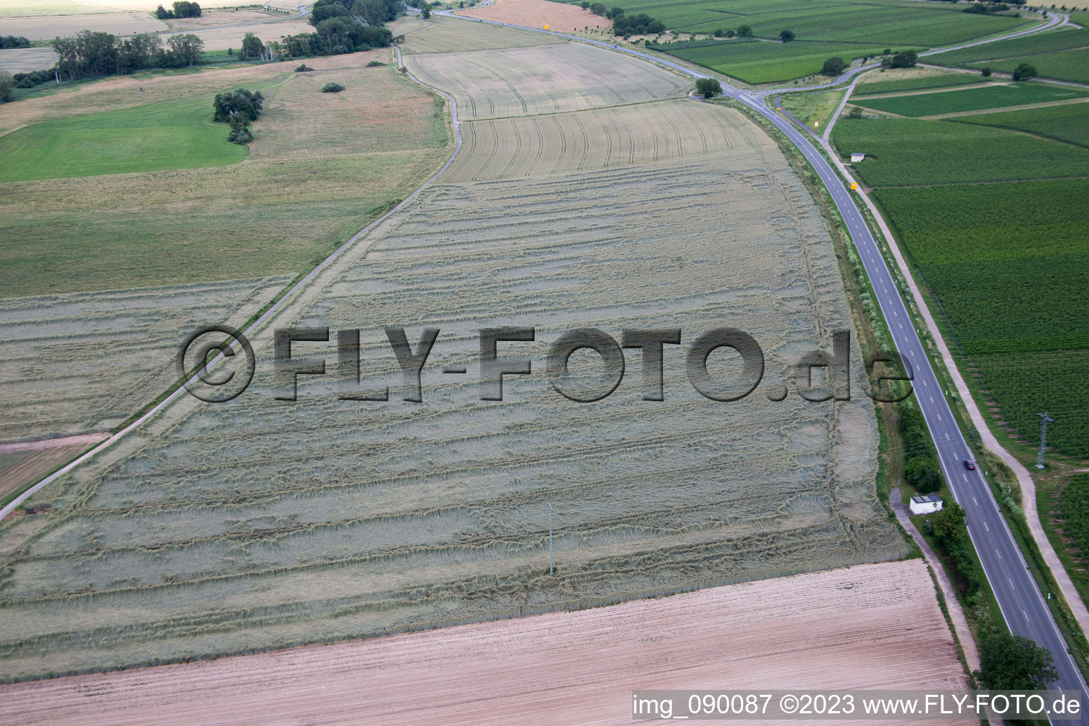 Drohnenbild von Geinsheim im Bundesland Rheinland-Pfalz, Deutschland