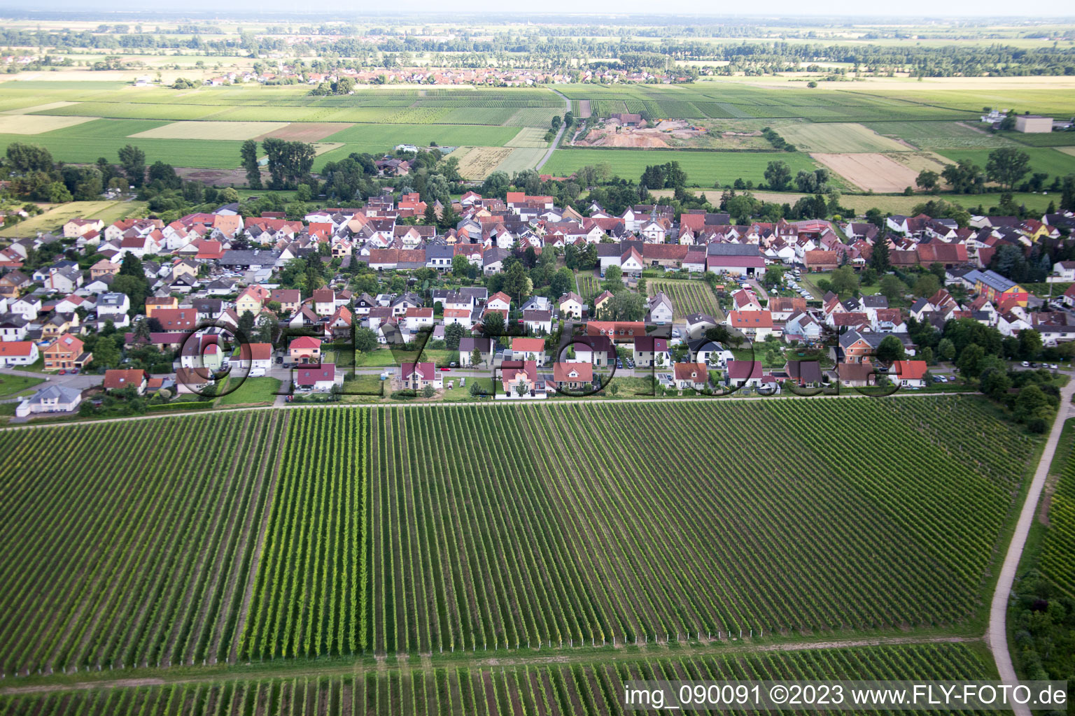 Schrägluftbild von Ortsteil Duttweiler in Neustadt an der Weinstraße im Bundesland Rheinland-Pfalz, Deutschland