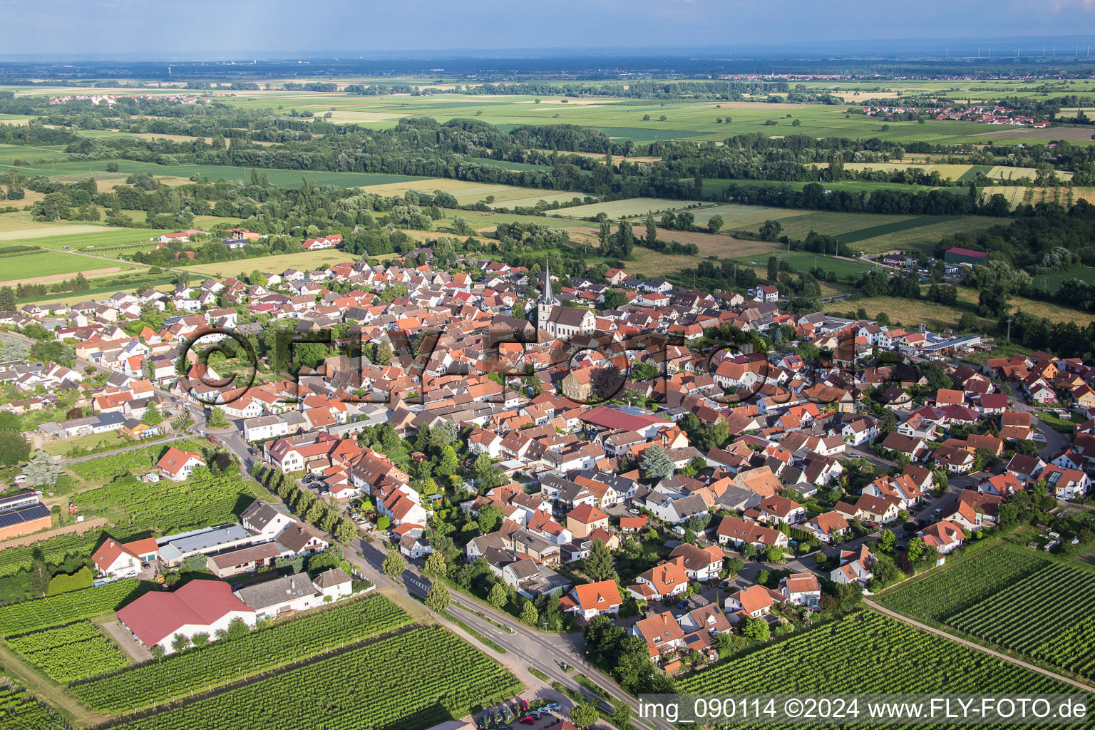 Dorf - Ansicht am Rande von landwirtschaftlichen Feldern und Nutzflächen in Venningen im Bundesland Rheinland-Pfalz, Deutschland von oben