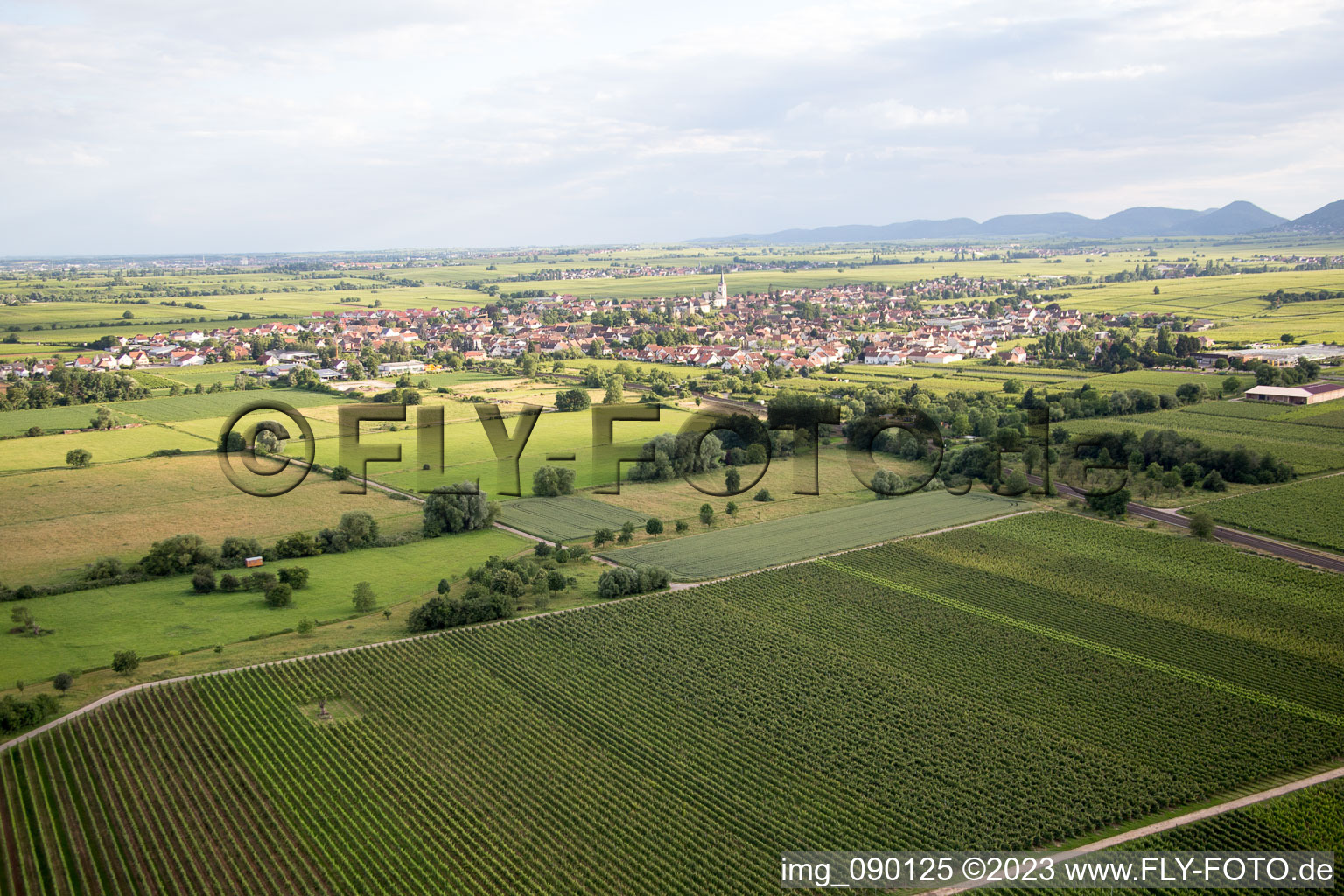 Edesheim im Bundesland Rheinland-Pfalz, Deutschland aus der Drohnenperspektive