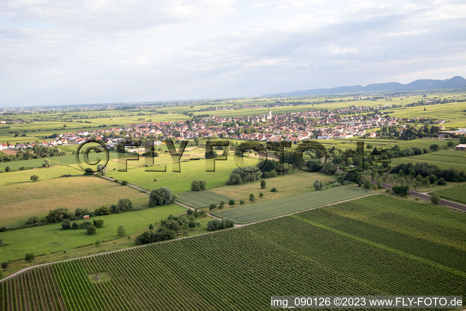 Edesheim im Bundesland Rheinland-Pfalz, Deutschland von einer Drohne aus