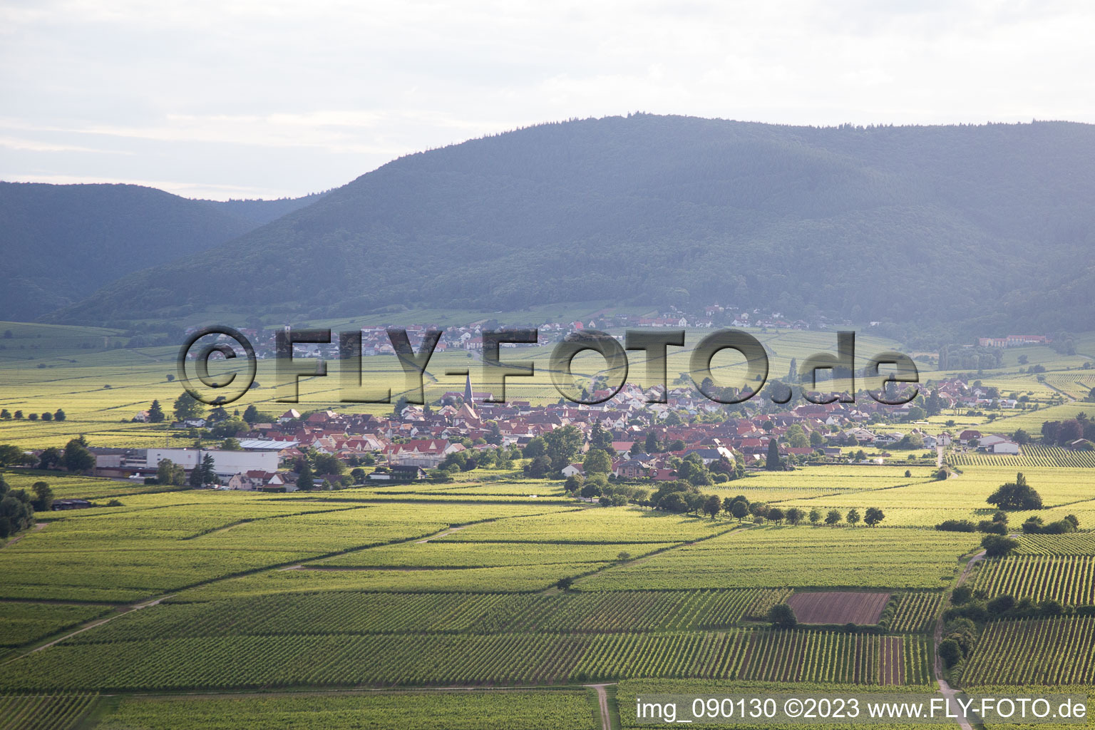 Luftbild von Rhodt unter Rietburg im Bundesland Rheinland-Pfalz, Deutschland