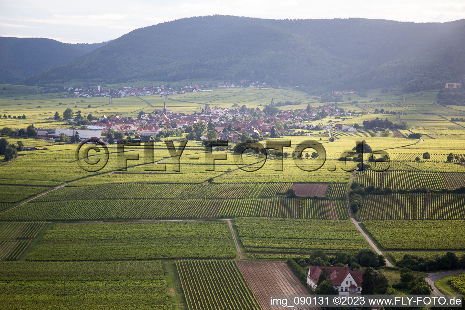 Luftaufnahme von Rhodt unter Rietburg im Bundesland Rheinland-Pfalz, Deutschland