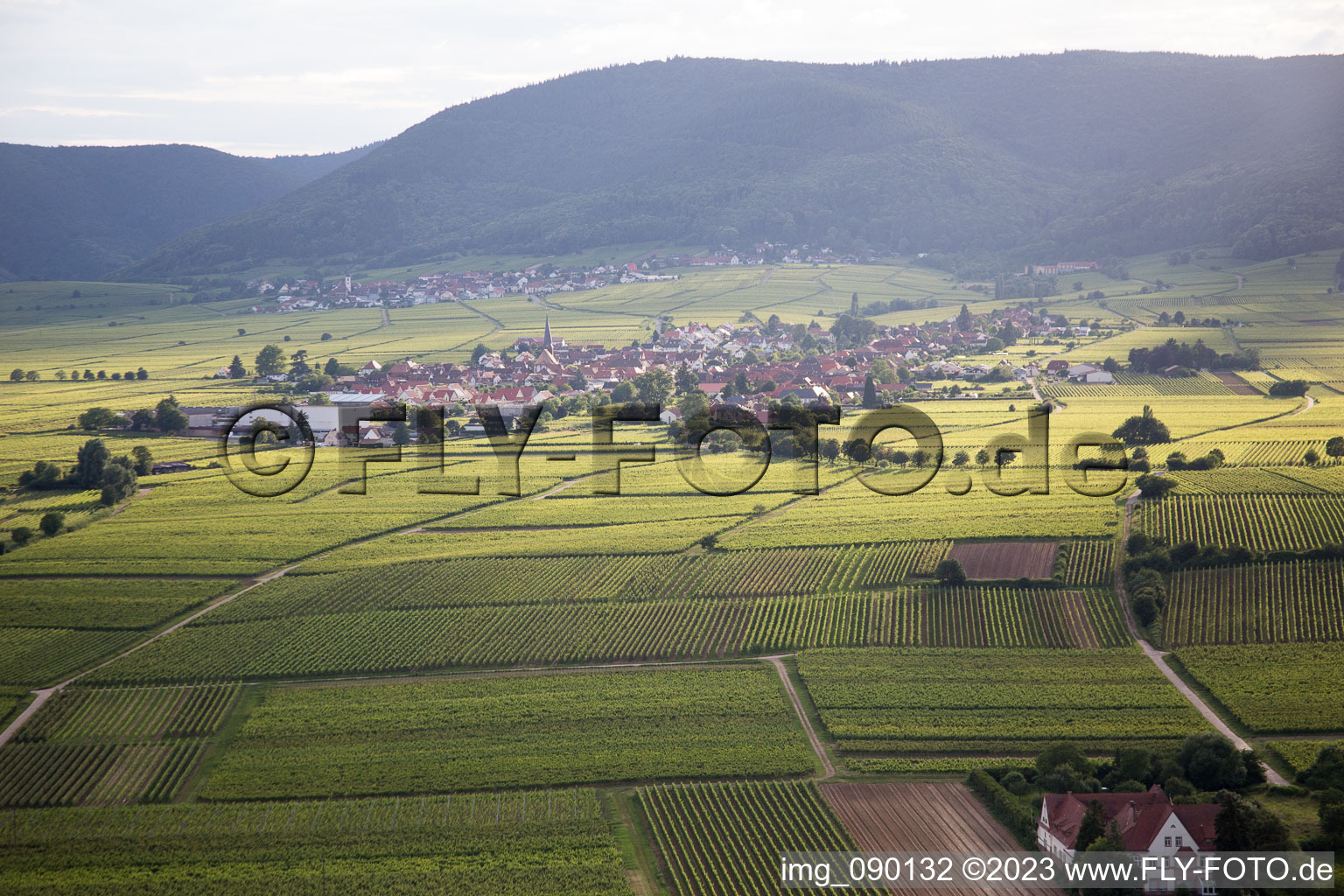 Schrägluftbild von Rhodt unter Rietburg im Bundesland Rheinland-Pfalz, Deutschland