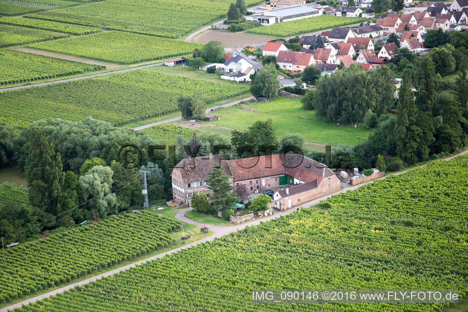 Weingut Erlenmühle in Edesheim im Bundesland Rheinland-Pfalz, Deutschland