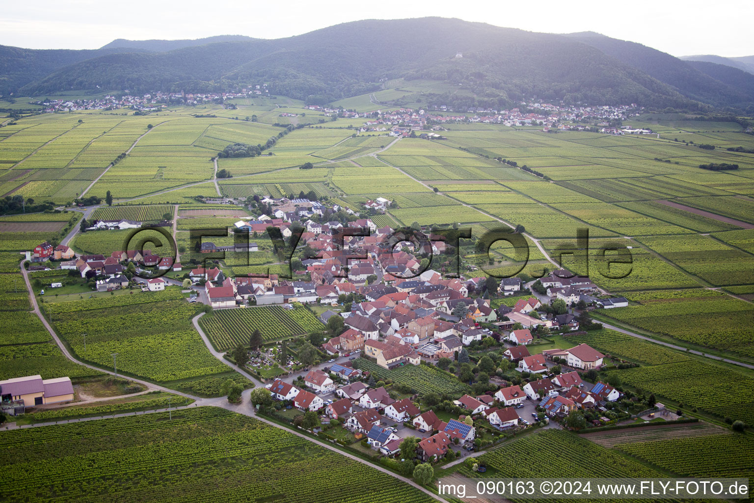 Dorf - Ansicht am Rande von Weinbergen in Flemlingen im Bundesland Rheinland-Pfalz, Deutschland