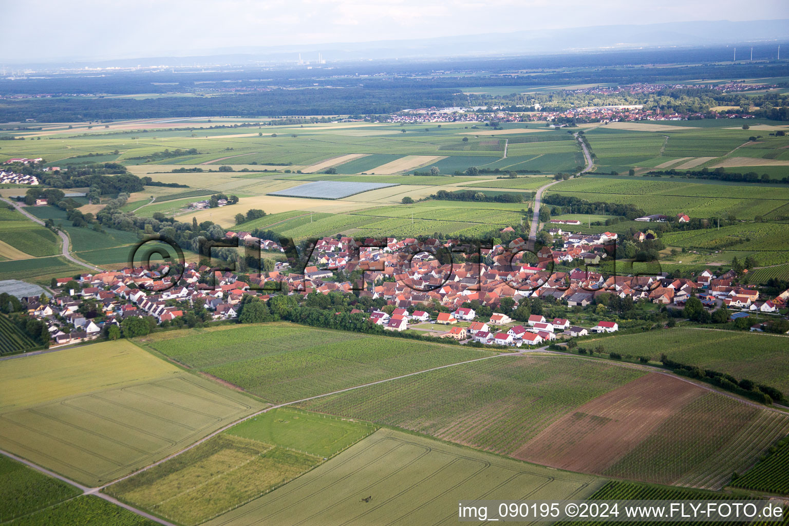 Impflingen im Bundesland Rheinland-Pfalz, Deutschland aus der Luft