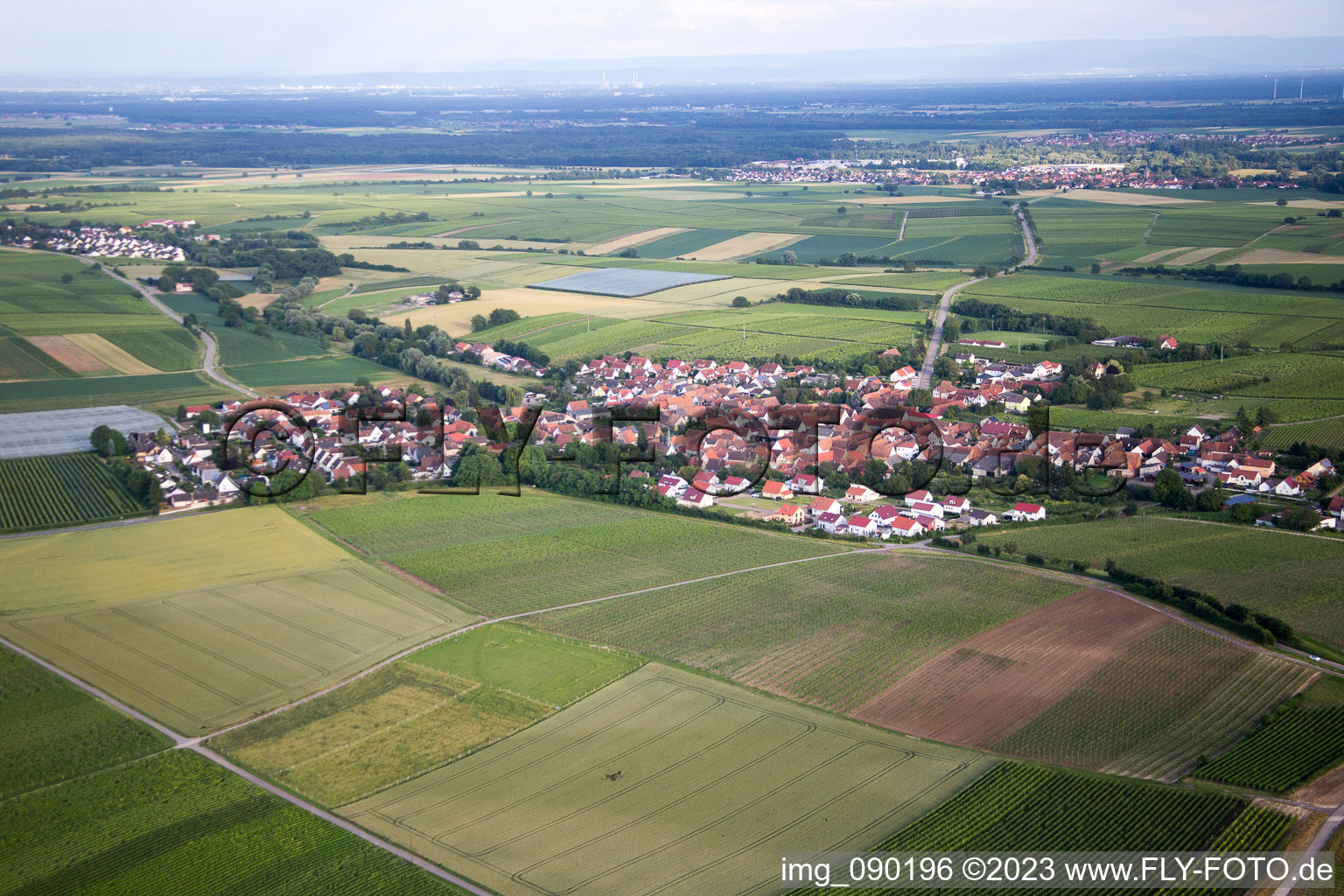 Impflingen im Bundesland Rheinland-Pfalz, Deutschland von oben gesehen