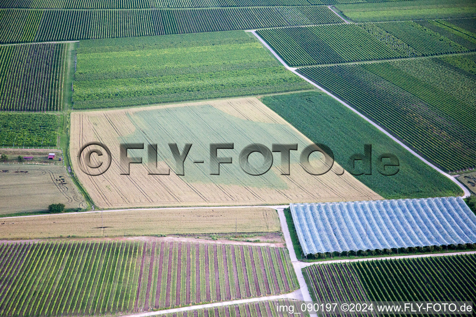 Impflingen im Bundesland Rheinland-Pfalz, Deutschland vom Flugzeug aus