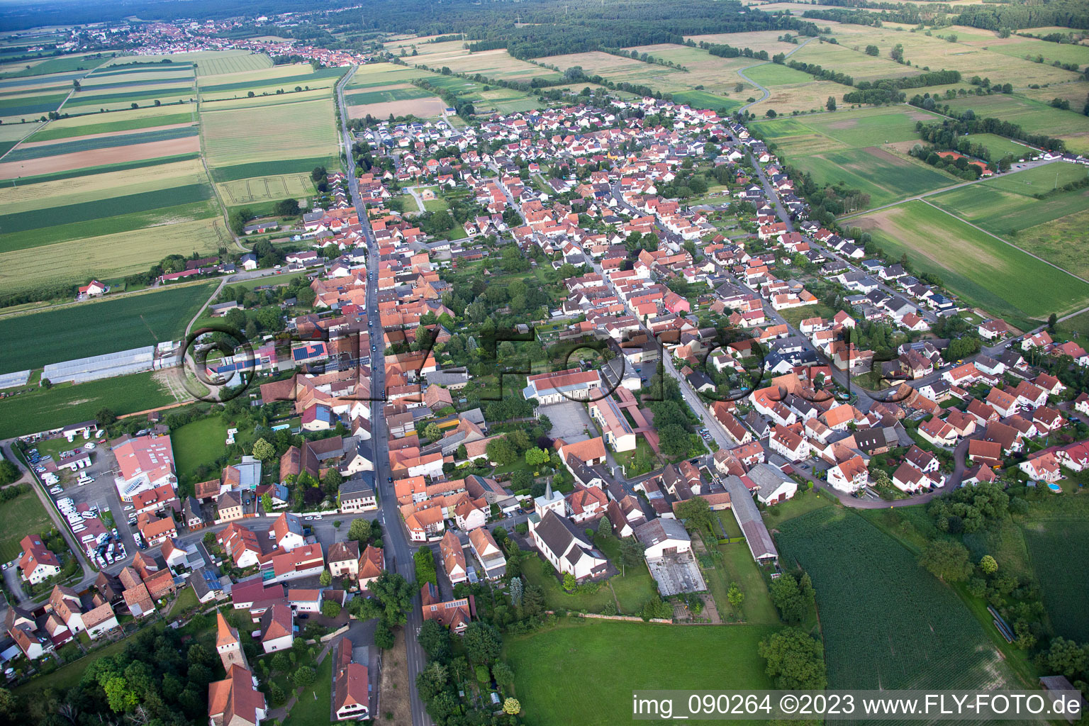 Luftbild von Minfeld im Bundesland Rheinland-Pfalz, Deutschland