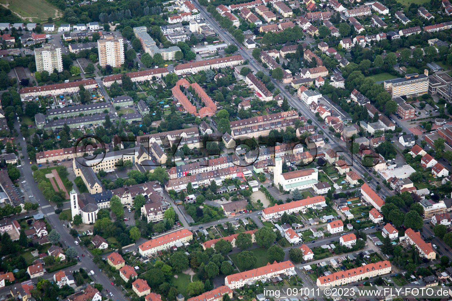 Luftbild von Ortsteil Gartenstadt in Ludwigshafen am Rhein im Bundesland Rheinland-Pfalz, Deutschland