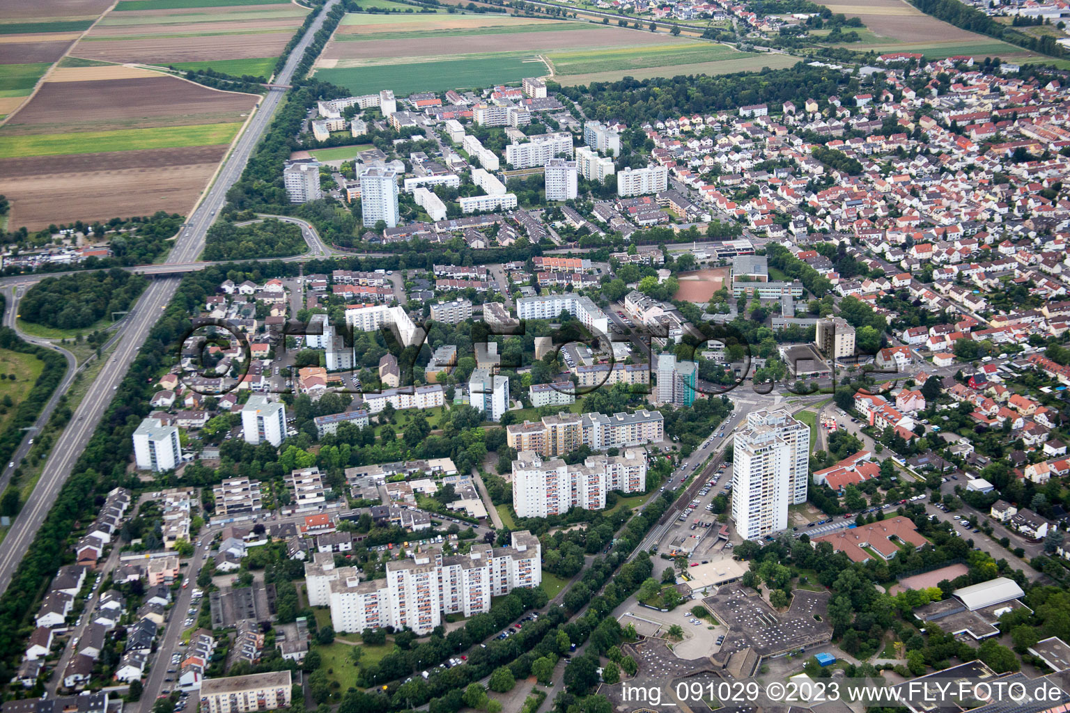 Ortsteil Oggersheim in Ludwigshafen am Rhein im Bundesland Rheinland-Pfalz, Deutschland aus der Luft