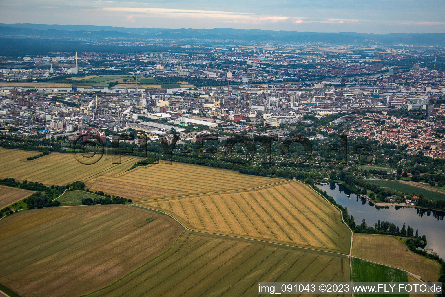 Luftbild von BASF von Westen im Ortsteil Friesenheim in Ludwigshafen am Rhein im Bundesland Rheinland-Pfalz, Deutschland