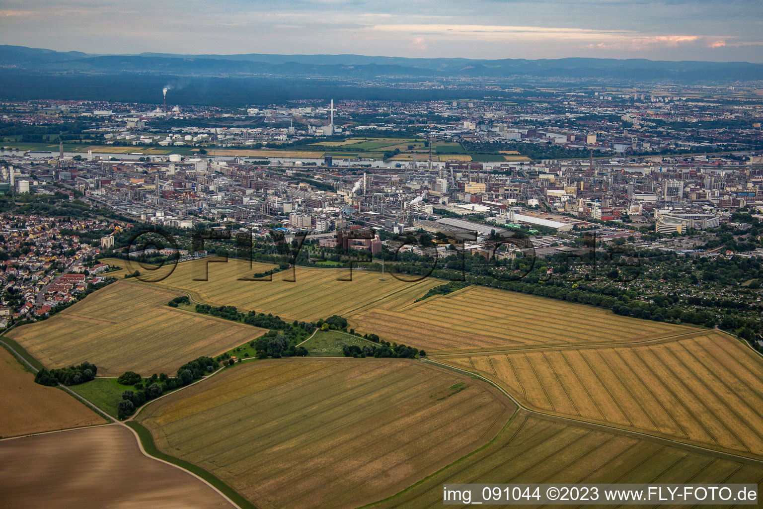 Luftaufnahme von BASF von Westen im Ortsteil Friesenheim in Ludwigshafen am Rhein im Bundesland Rheinland-Pfalz, Deutschland