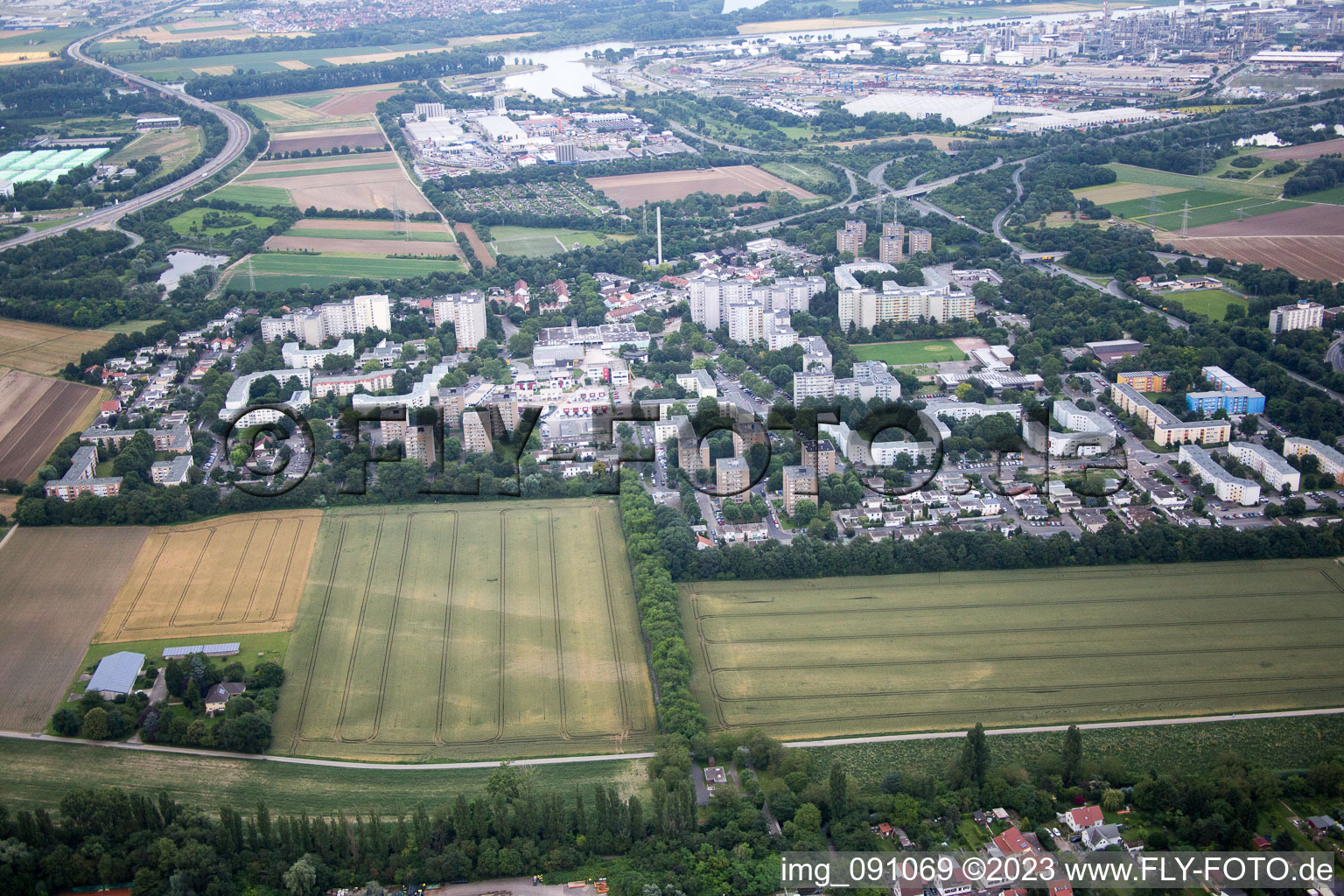 Ortsteil Pfingstweide in Ludwigshafen am Rhein im Bundesland Rheinland-Pfalz, Deutschland aus der Luft