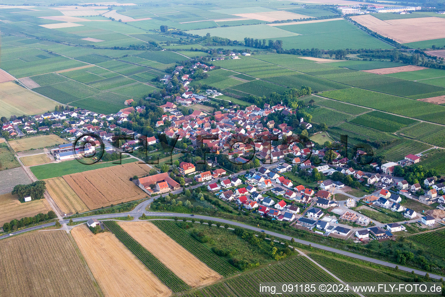 Dorf - Ansicht am Rande von landwirtschaftlichen Feldern und Nutzflächen in Hohen-Sülzen im Bundesland Rheinland-Pfalz, Deutschland