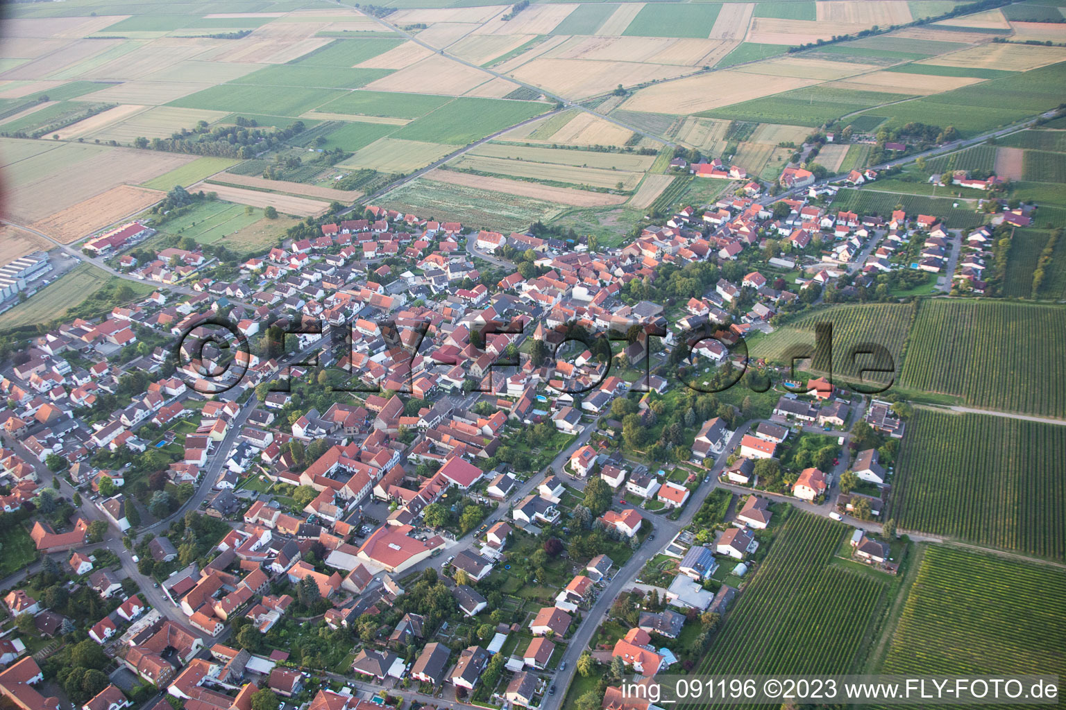 Schrägluftbild von Bockenheim an der Weinstraße im Bundesland Rheinland-Pfalz, Deutschland
