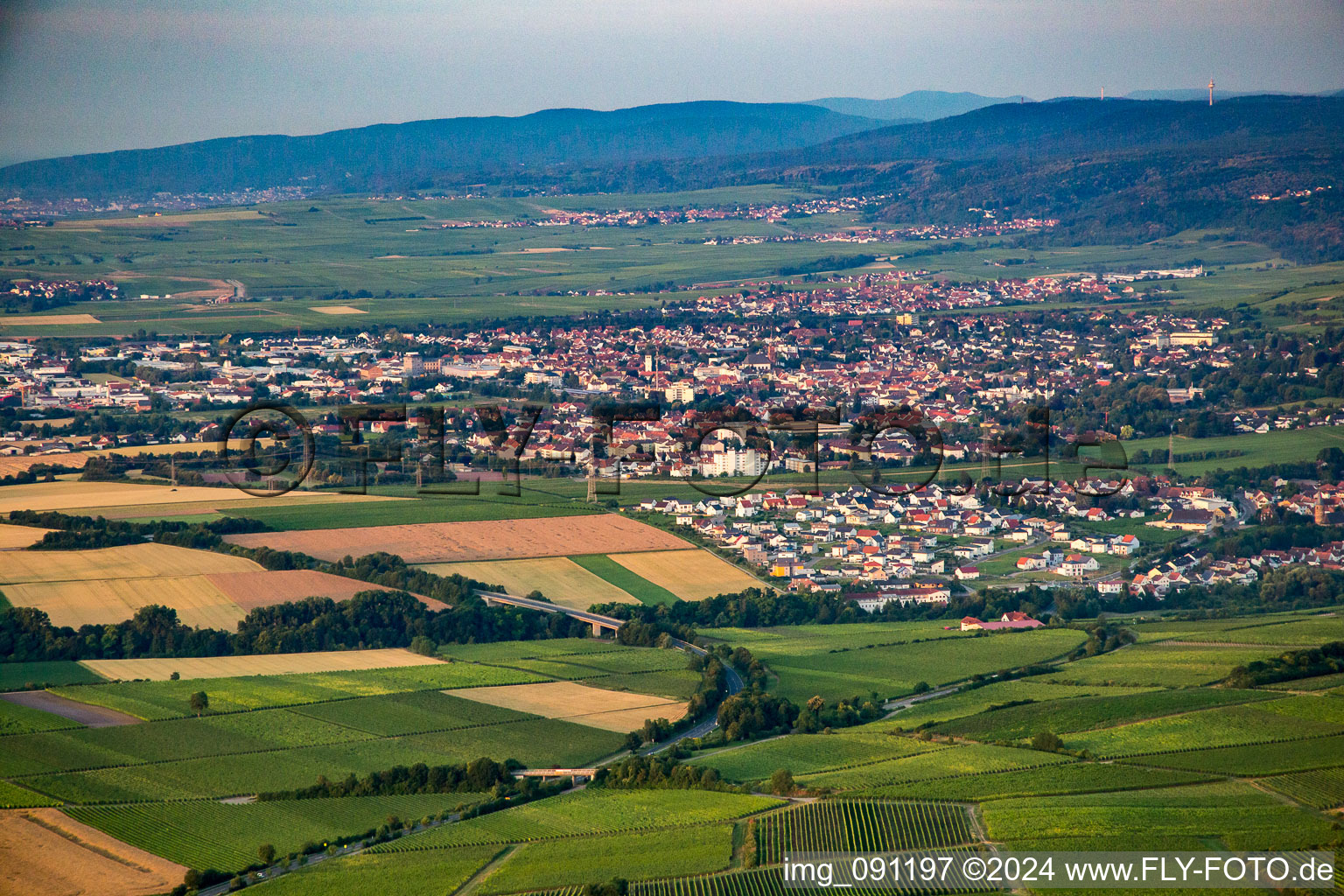 Asselheim von Norden in Grünstadt im Bundesland Rheinland-Pfalz, Deutschland