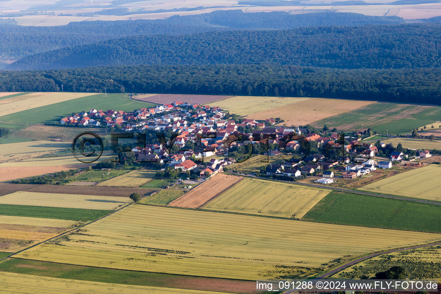 Dorf - Ansicht am Rande von landwirtschaftlichen Feldern und Nutzflächen in Orbis im Bundesland Rheinland-Pfalz, Deutschland