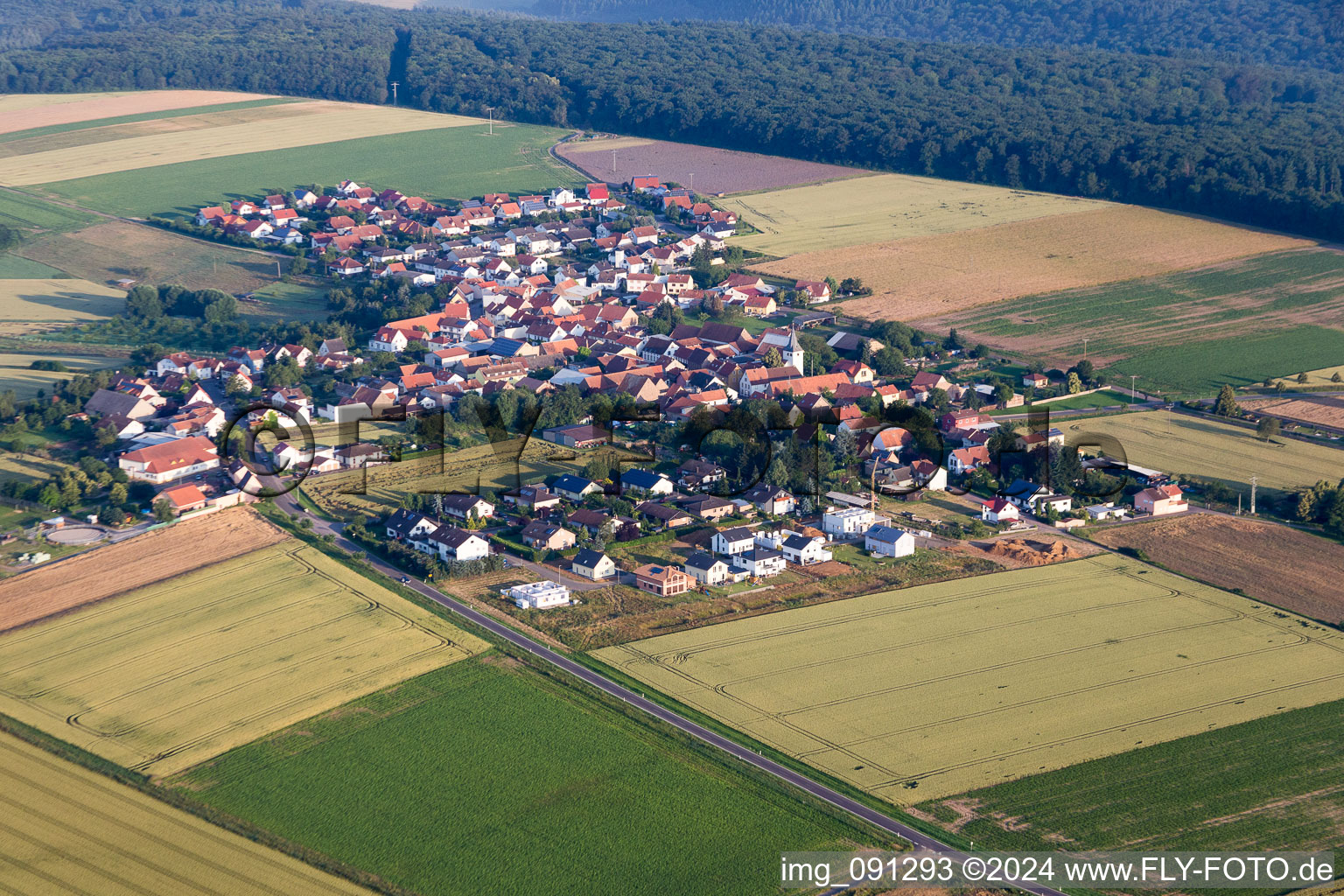 Luftbild von Dorf - Ansicht am Rande von landwirtschaftlichen Feldern und Nutzflächen in Orbis im Bundesland Rheinland-Pfalz, Deutschland
