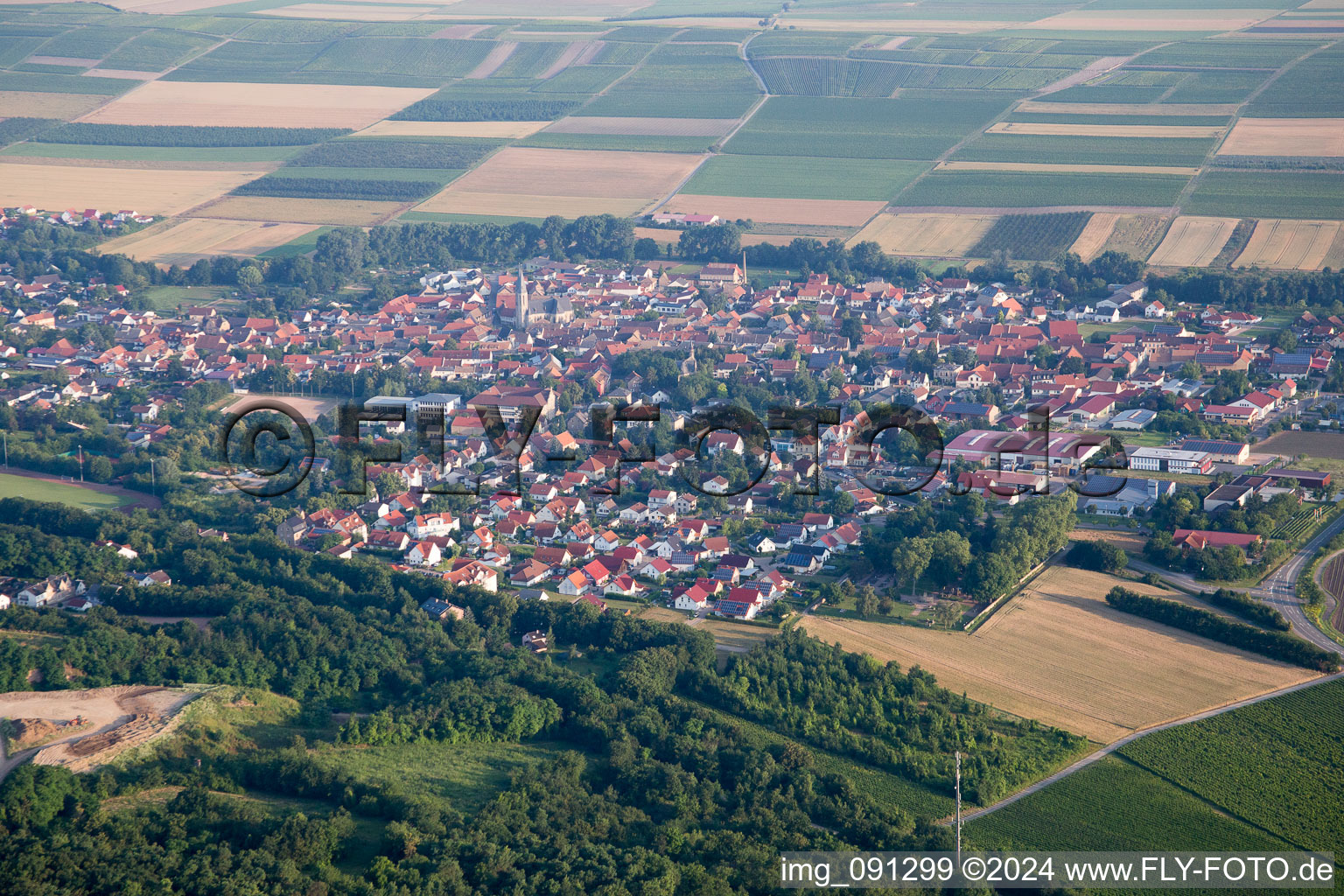 Dorf - Ansicht am Rande von landwirtschaftlichen Feldern und Nutzflächen in Flonheim im Bundesland Rheinland-Pfalz, Deutschland