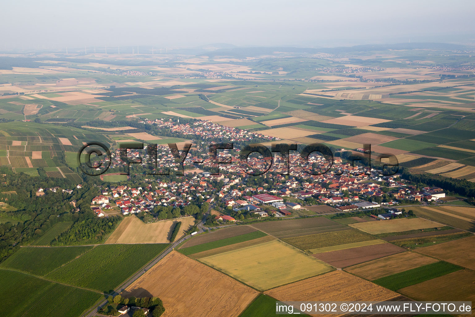 Luftbild von Dorf - Ansicht am Rande von landwirtschaftlichen Feldern und Nutzflächen in Flonheim im Bundesland Rheinland-Pfalz, Deutschland