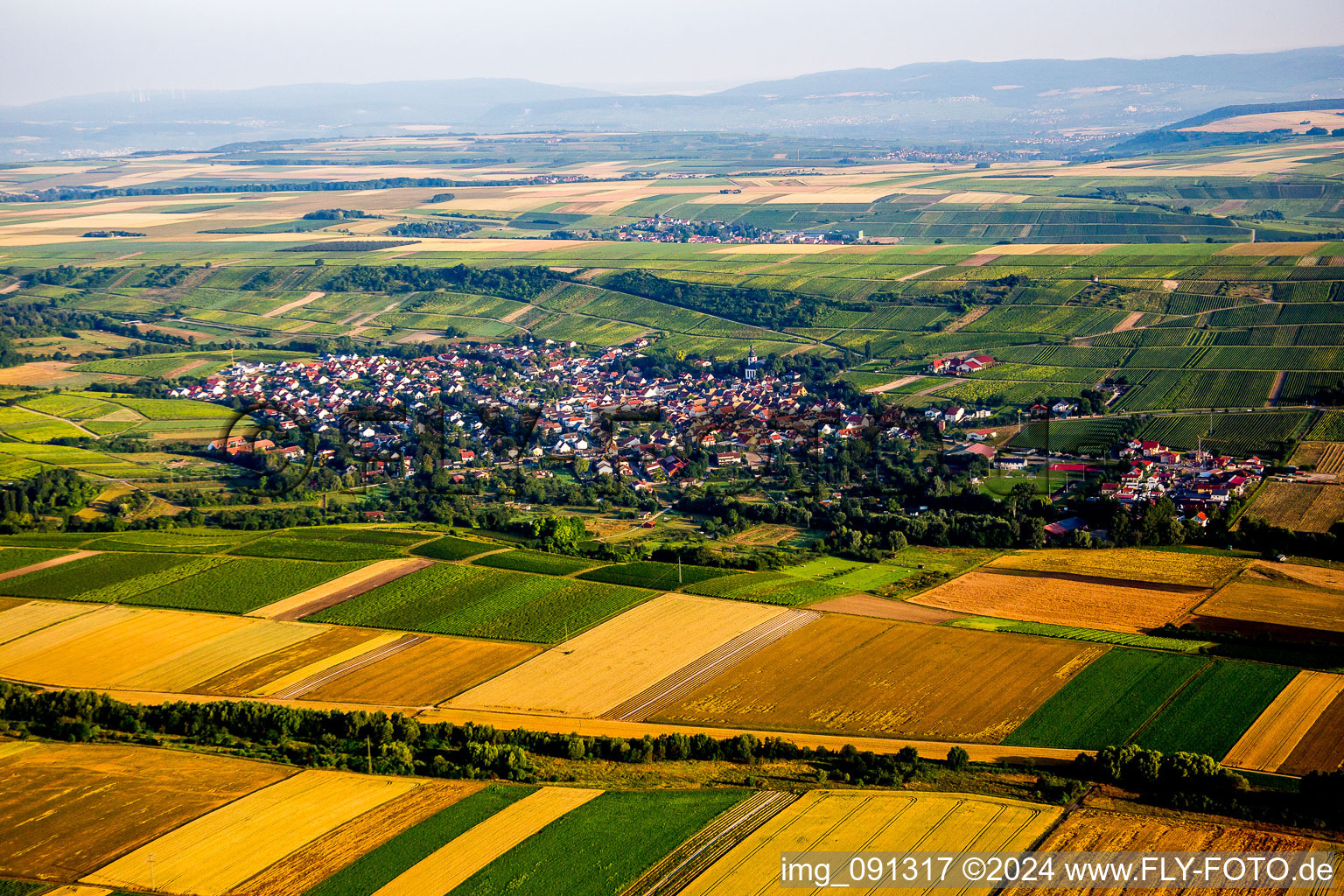 Dorf - Ansicht am Rande von landwirtschaftlichen Feldern und Nutzflächen in Jugenheim in Rheinhessen im Bundesland Rheinland-Pfalz, Deutschland