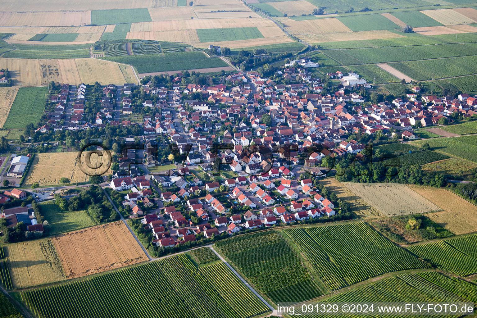 Luftbild von Udenheim im Bundesland Rheinland-Pfalz, Deutschland