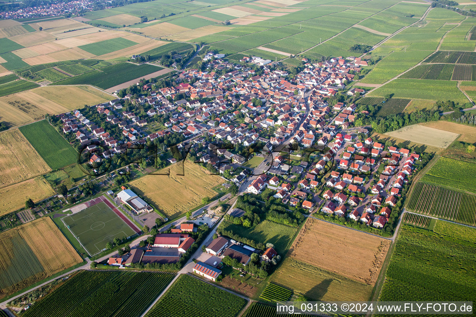 Dorf - Ansicht am Rande von landwirtschaftlichen Feldern und Nutzflächen in Udenheim im Bundesland Rheinland-Pfalz, Deutschland