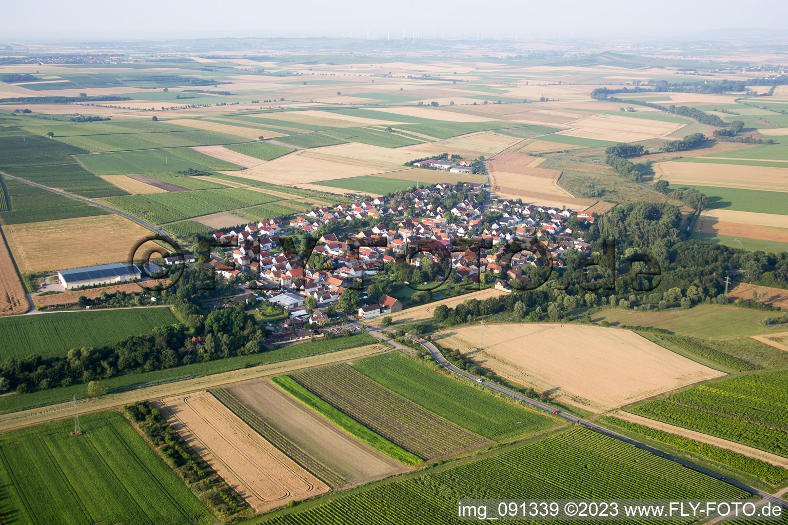 Luftaufnahme von Friesenheim/Rheinhessen im Bundesland Rheinland-Pfalz, Deutschland