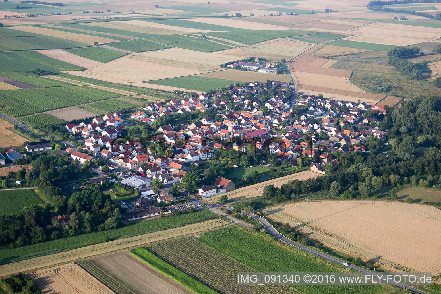 Dorf - Ansicht am Rande von landwirtschaftlichen Feldern und Nutzflächen in Friesenheim/Rheinhessen im Bundesland Rheinland-Pfalz, Deutschland