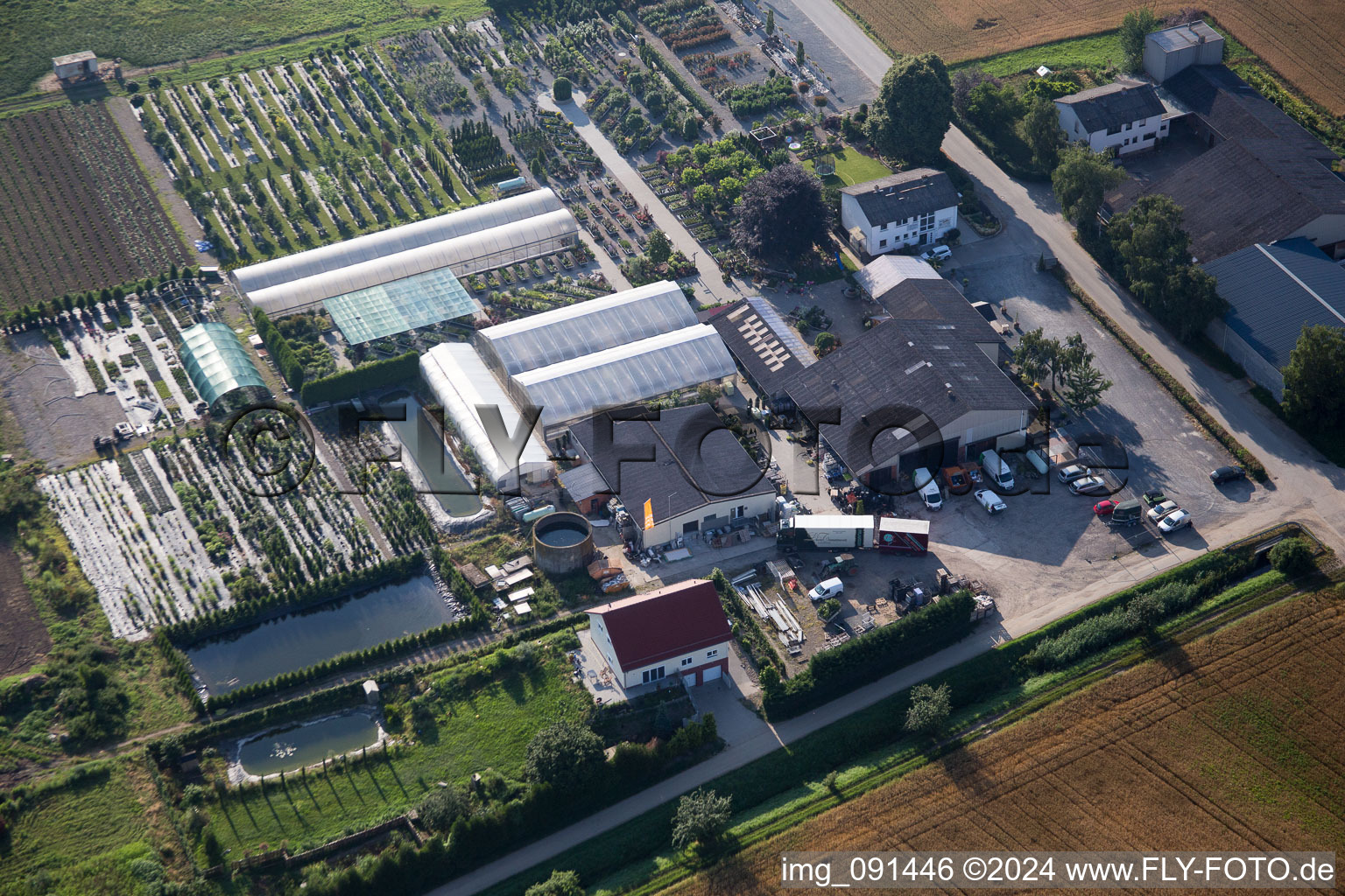 Luftbild von Glasdach- Flächen in den Gewächshausreihen zur Blumenzucht Lindenhof im Ortsteil Auerbach in Bensheim im Bundesland Hessen, Deutschland