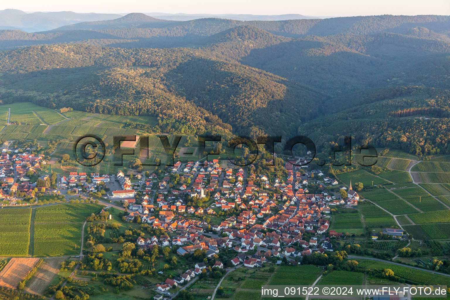 Dorf - Ansicht am Rande von Weinbergen und Wald in Rechtenbach in Schweigen-Rechtenbach im Bundesland Rheinland-Pfalz, Deutschland