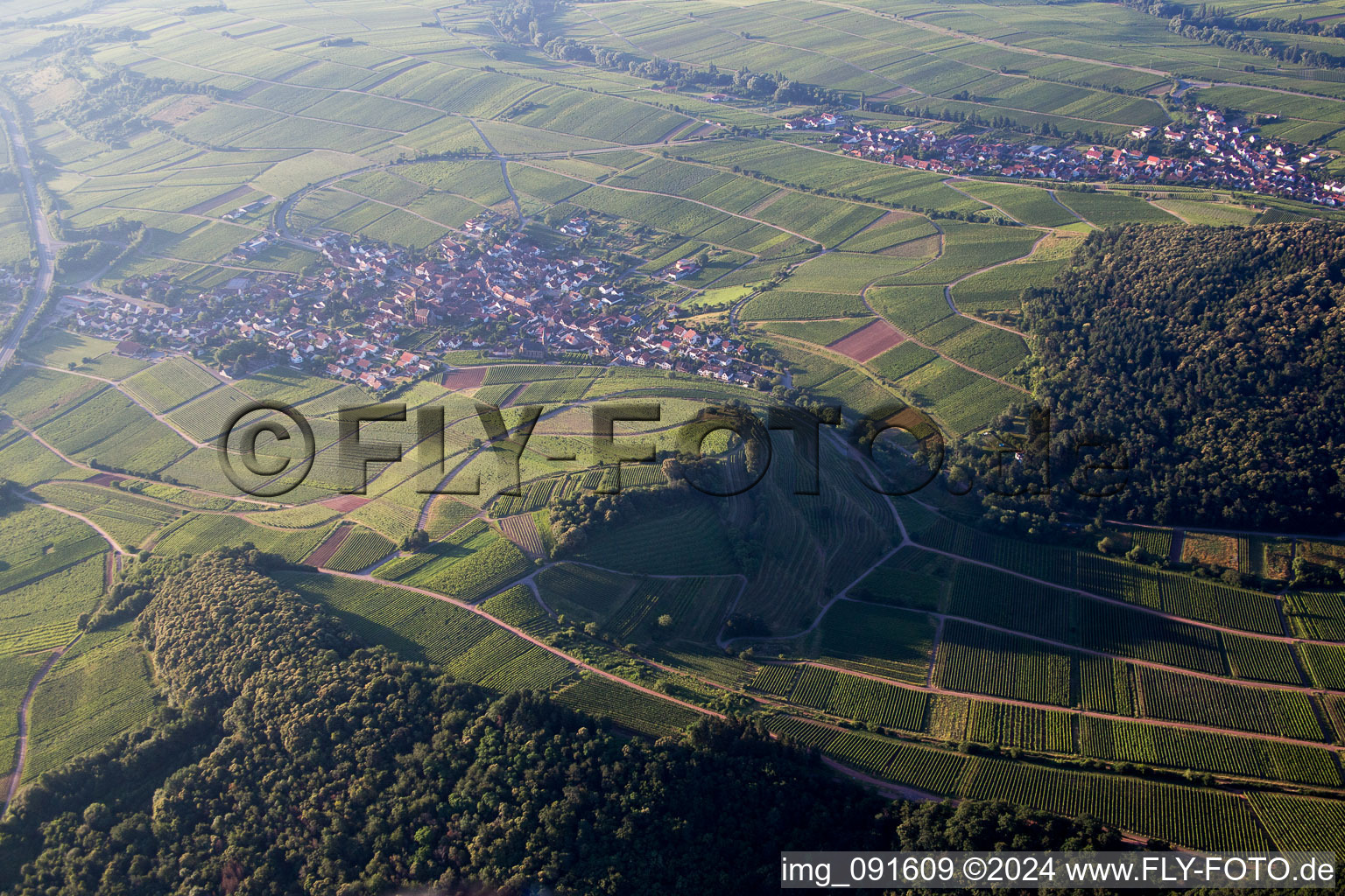 Dorf - Ansicht von Birkweiler im Bundesland Rheinland-Pfalz, Deutschland