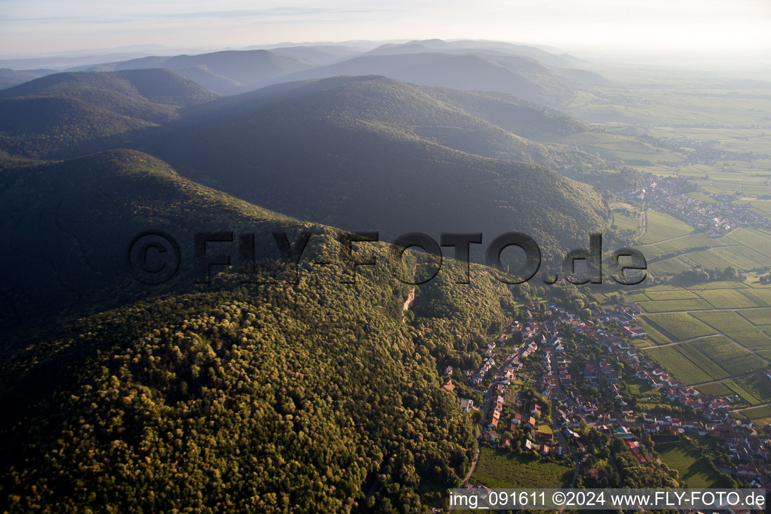 Luftbild von Dorf - Ansicht am Rande von Weinbergen am Haardtrand in Frankweiler im Bundesland Rheinland-Pfalz, Deutschland