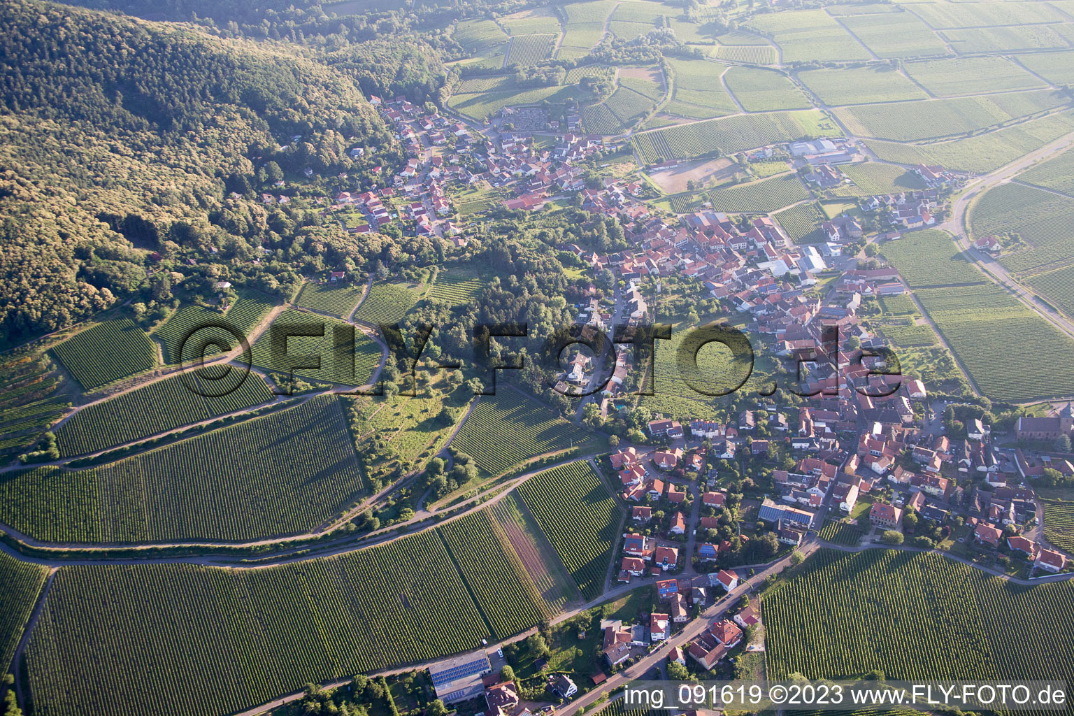 Schrägluftbild von Gleisweiler im Bundesland Rheinland-Pfalz, Deutschland