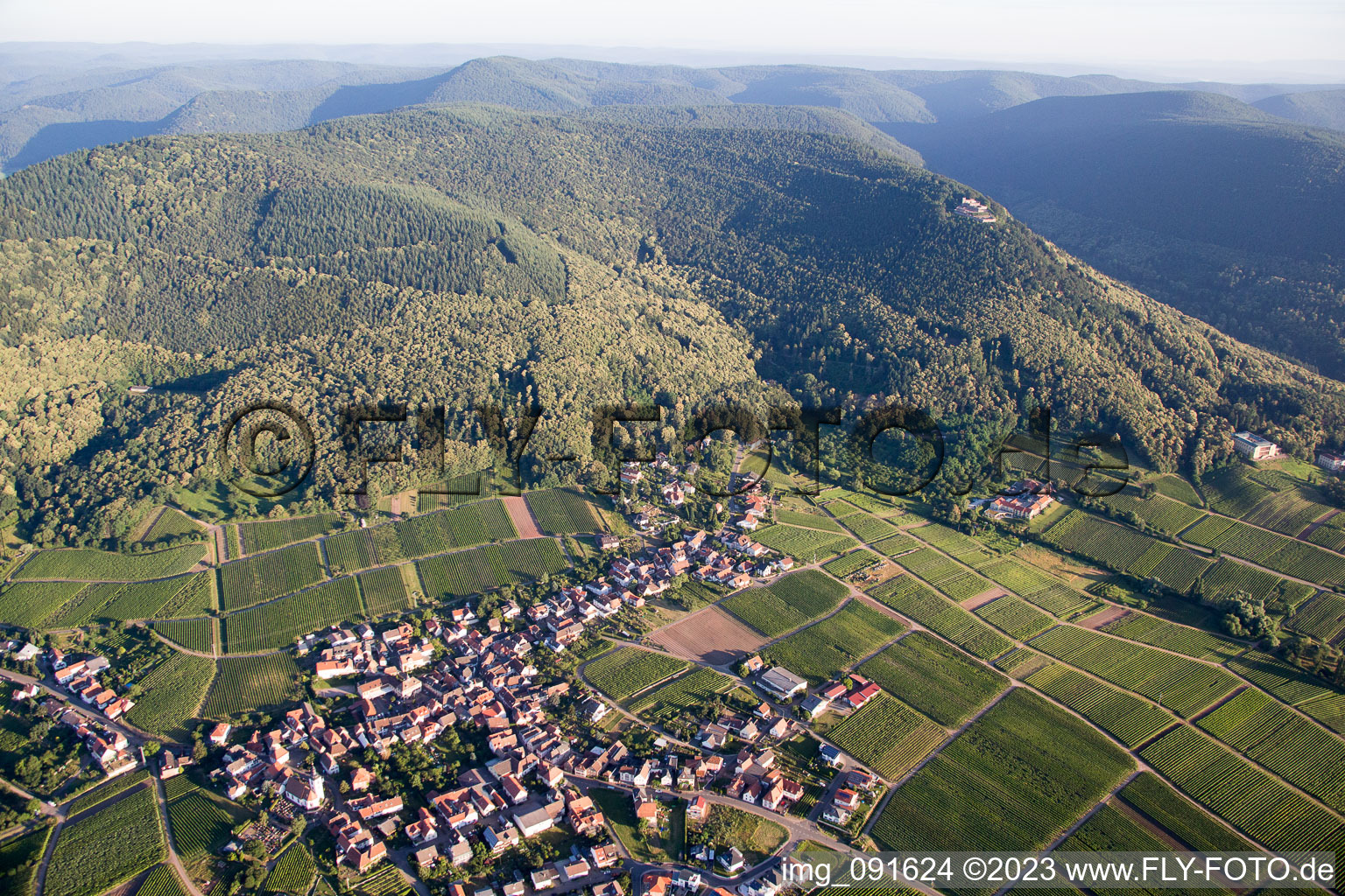 Weyher in der Pfalz im Bundesland Rheinland-Pfalz, Deutschland aus der Vogelperspektive